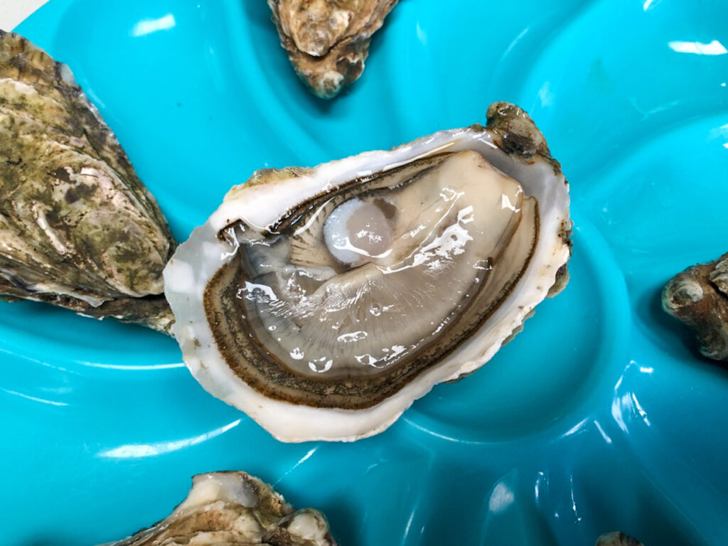 Connemara oysters