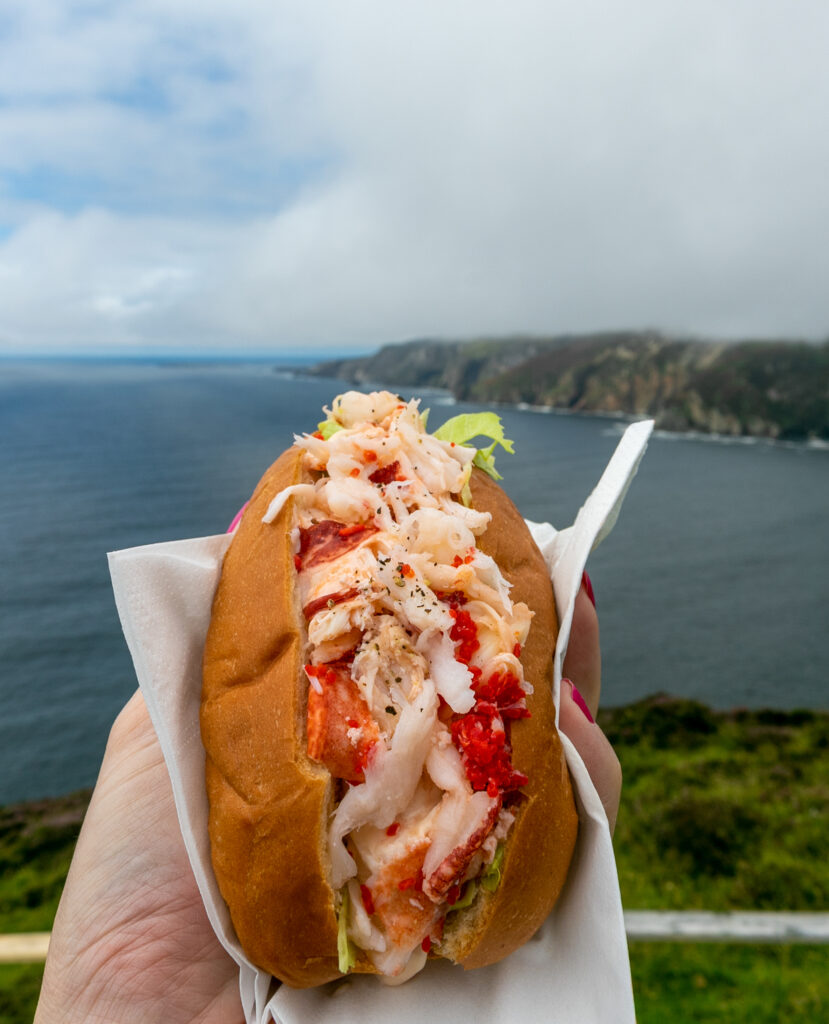 Lobster roll by the sea in Ireland - Melanie May Food Photographer