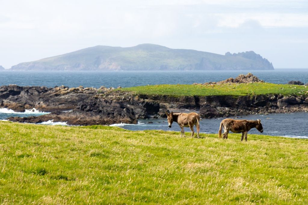 things to do in kerry ireland